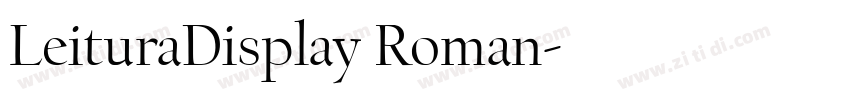 LeituraDisplay Roman字体转换
